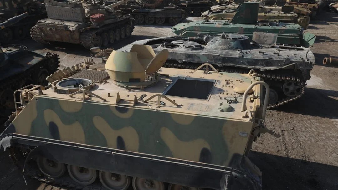 Изображение публикации 1cdbc399-08d5-4317-b8f6-2e54de4918ce