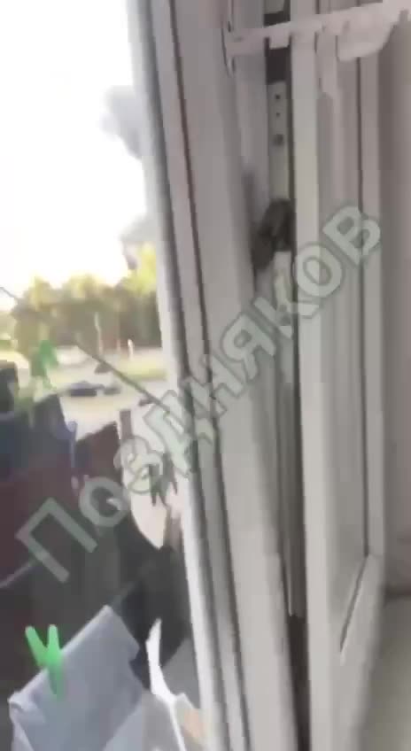 Превью видео