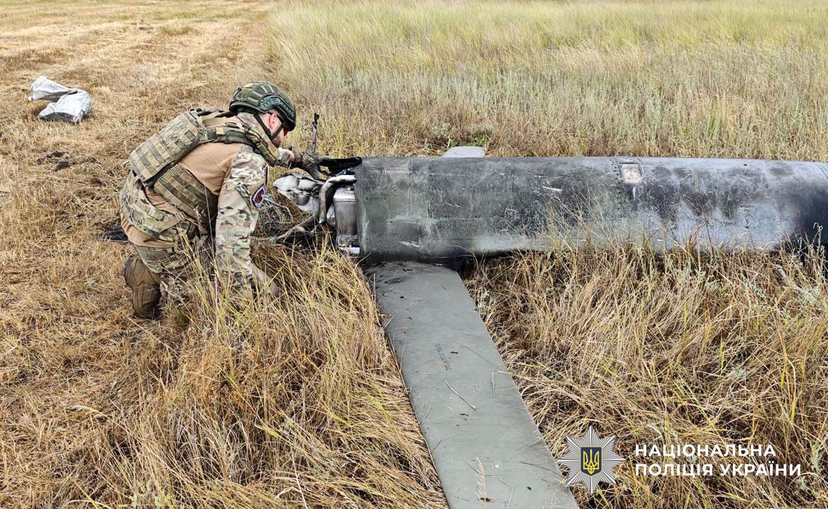 Изображение публикации 207a0444-562f-4df0-b361-8f2c136a10f6