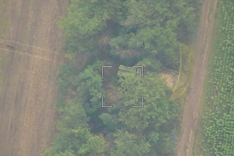 Изображение публикации 20b1973c-5c5c-4a43-a5c8-6408cf516f10