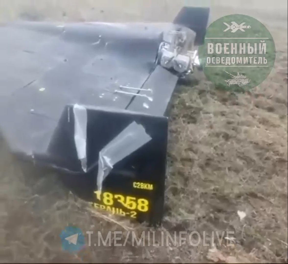 Изображение публикации 21642285-e288-444b-bbc3-6d441c46dc0d