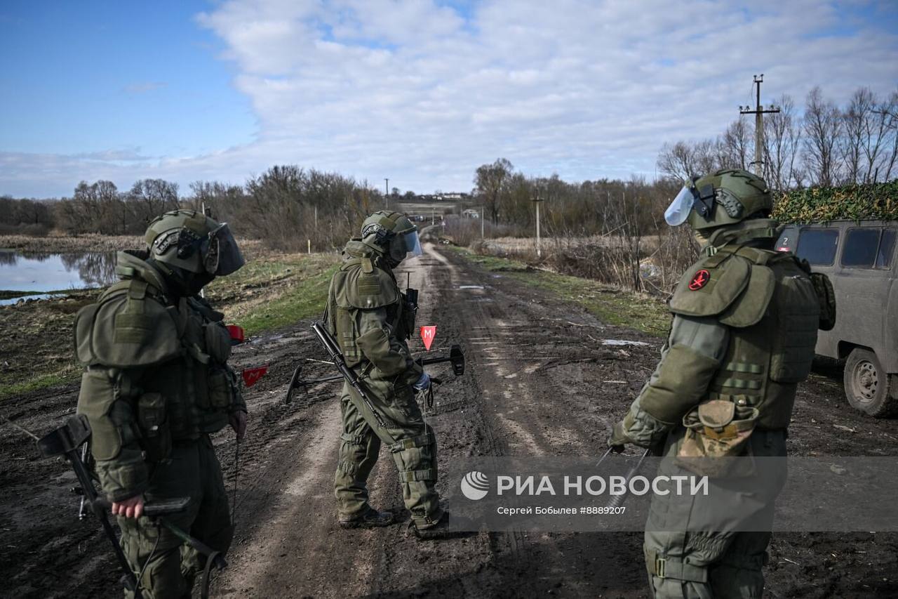 Изображение публикации 21f8ad03-7706-4d49-a51d-7e3e284ef308