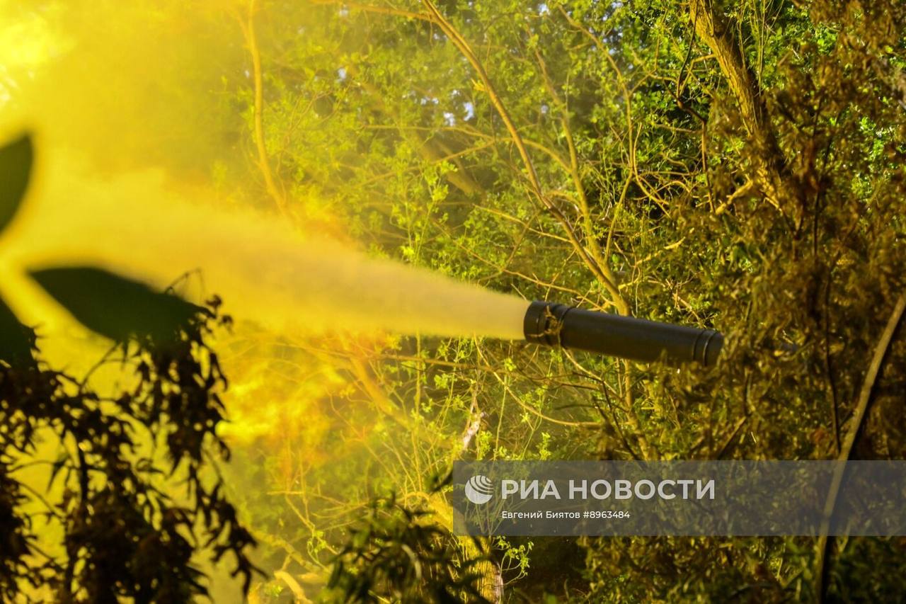 Изображение публикации 220ca969-7b7f-4c9e-8d97-2eeb029ab021