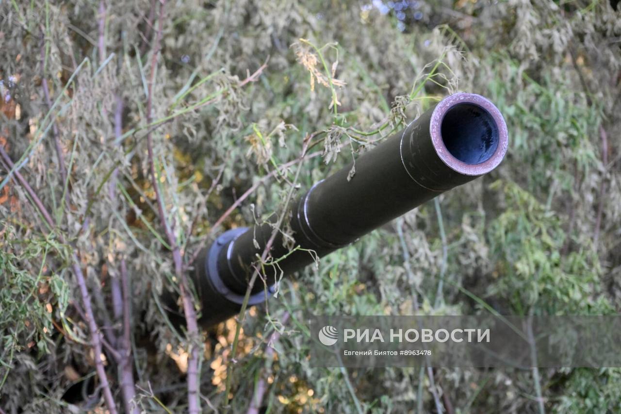 Изображение публикации 220ca969-7b7f-4c9e-8d97-2eeb029ab021