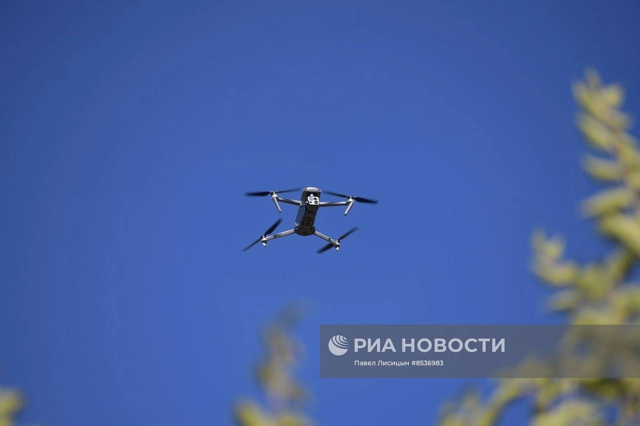 Изображение публикации 232ebf50-bd46-4e92-8db2-a733a4b3b4d2
