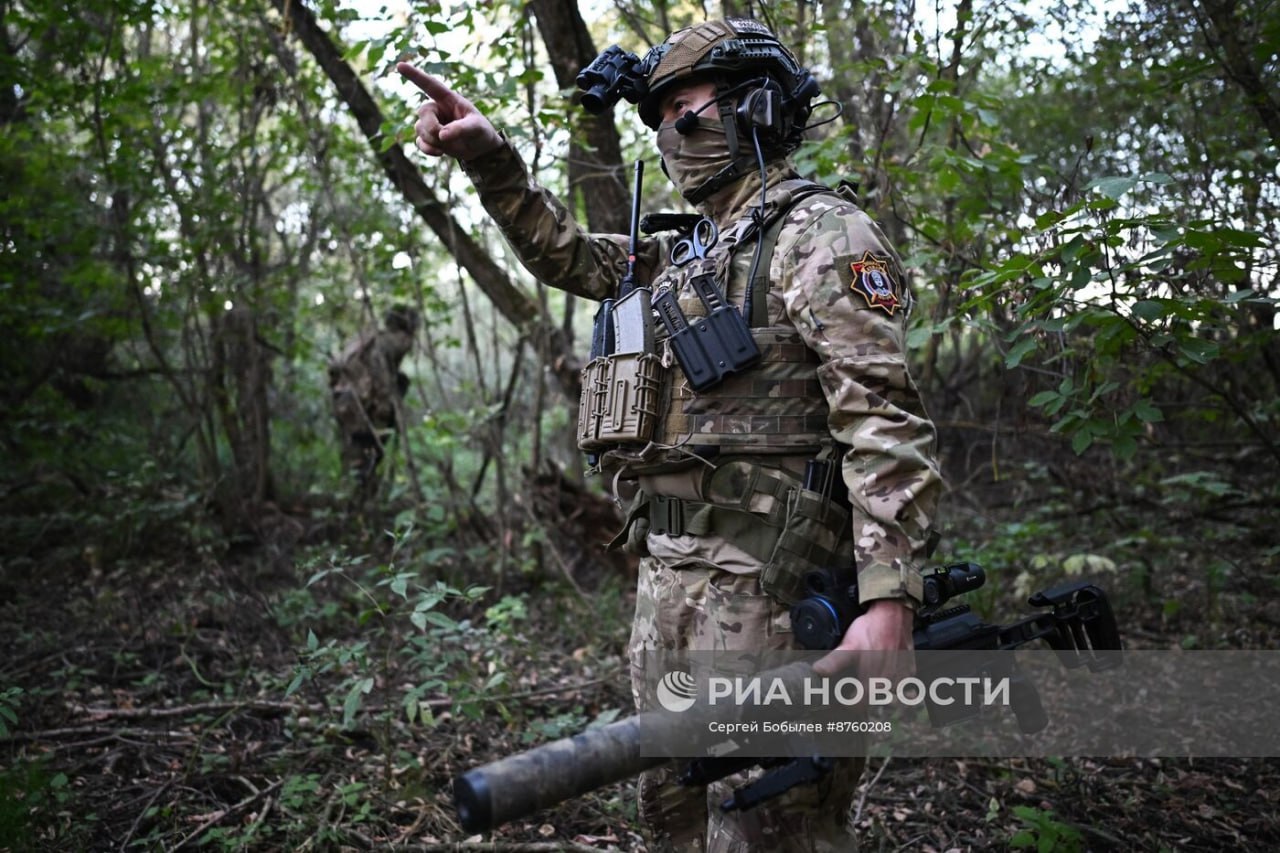 Изображение публикации 2379f897-468d-4f05-a91a-3824553d4a94