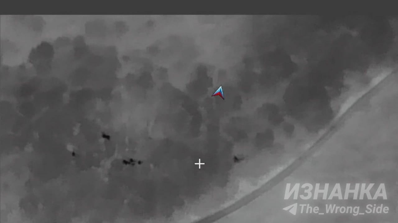 Изображение публикации 24ace162-448a-47df-9375-c3ca9a69d6c5