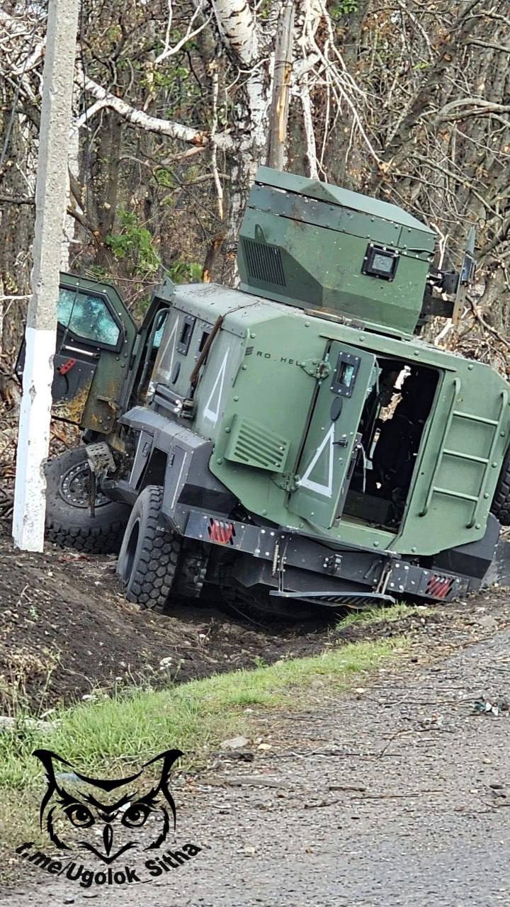 Изображение публикации 253d5547-d0d2-4240-b205-6accb96f7966