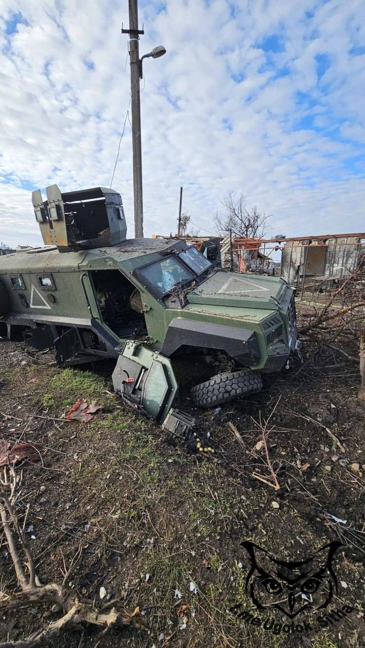Изображение публикации 253d5547-d0d2-4240-b205-6accb96f7966