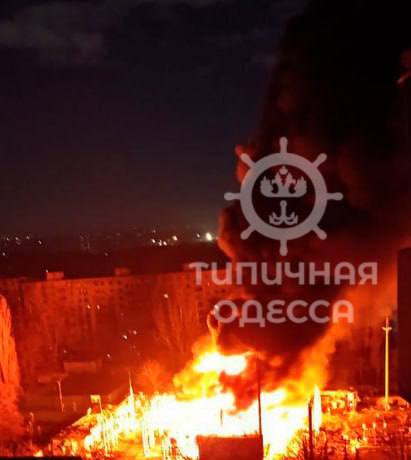 Изображение публикации 258cf2bf-600b-4008-ae80-a4da822b5197