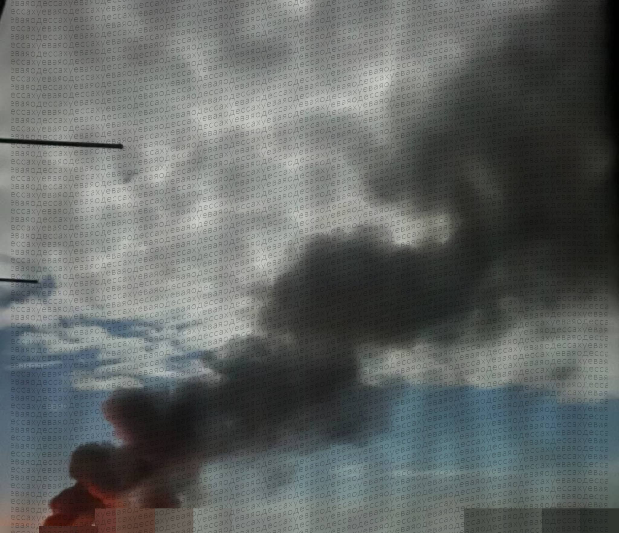 Изображение публикации 258cf2bf-600b-4008-ae80-a4da822b5197