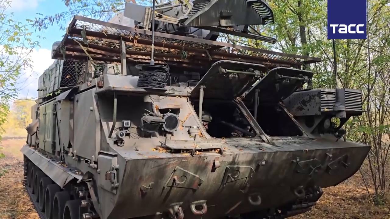 Изображение публикации 2642b1ee-96d9-42eb-a2ee-faea3e756a39