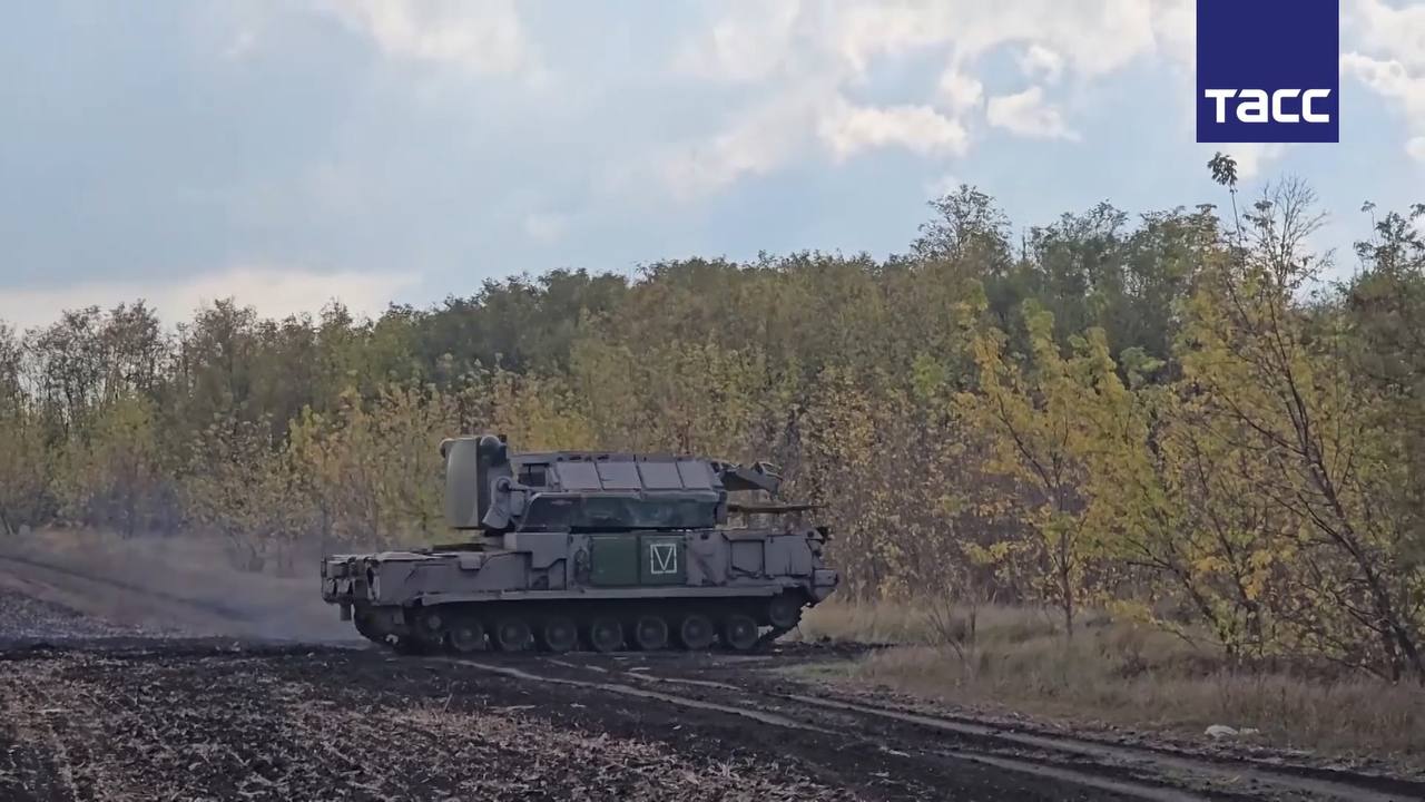 Изображение публикации 2642b1ee-96d9-42eb-a2ee-faea3e756a39