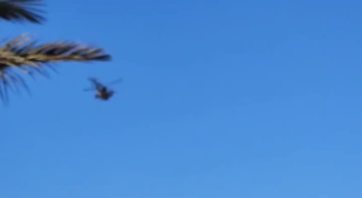 Превью видео