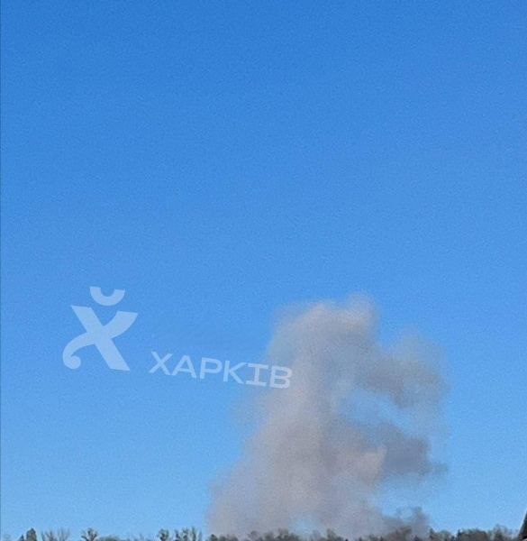 Изображение публикации 295f6288-f0bc-4c8c-b467-130ca5d489cf