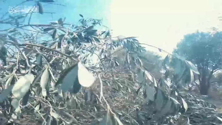 Превью видео