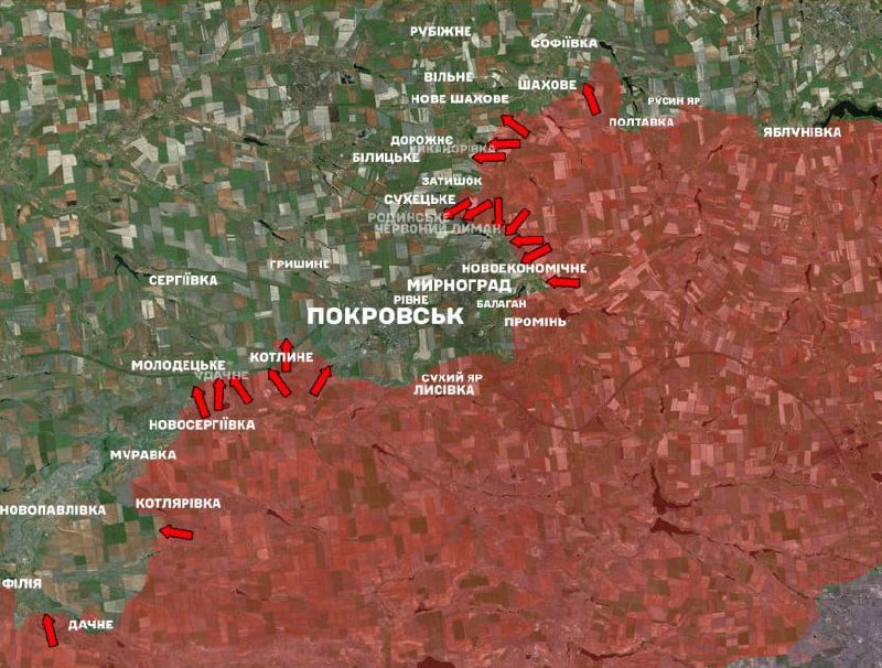 Изображение публикации 299dda21-24d8-4b70-aeee-4f39eb54a6ed