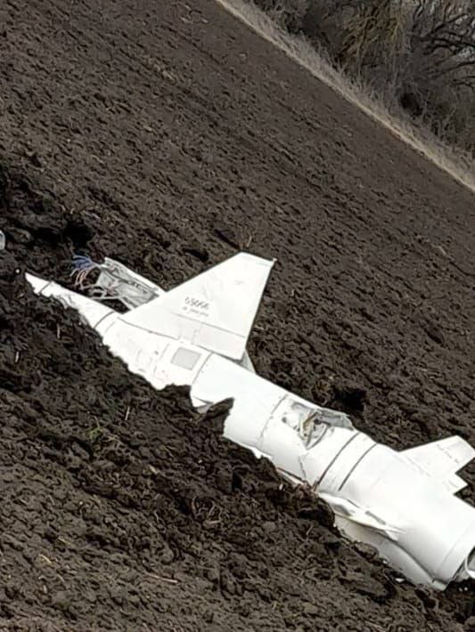Изображение публикации 29a14532-aaf6-4125-9b8b-70998750f2f4