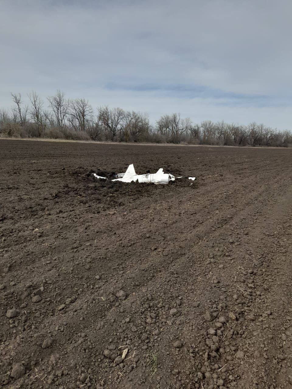 Изображение публикации 29a14532-aaf6-4125-9b8b-70998750f2f4