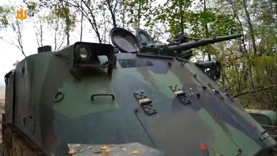 Изображение публикации 2a119d33-2fe7-47ae-a24a-2012a49e5404