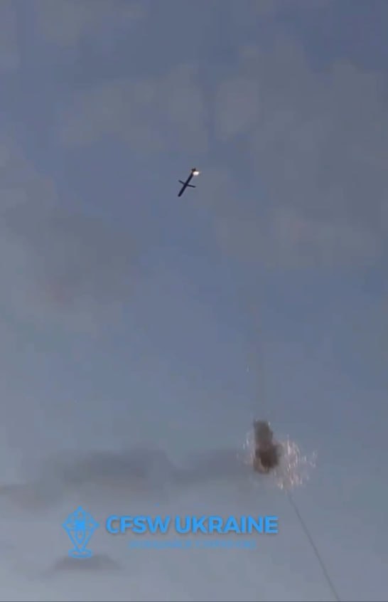 Изображение публикации 2a8e7beb-8c03-406f-a3c3-bb3abff00679