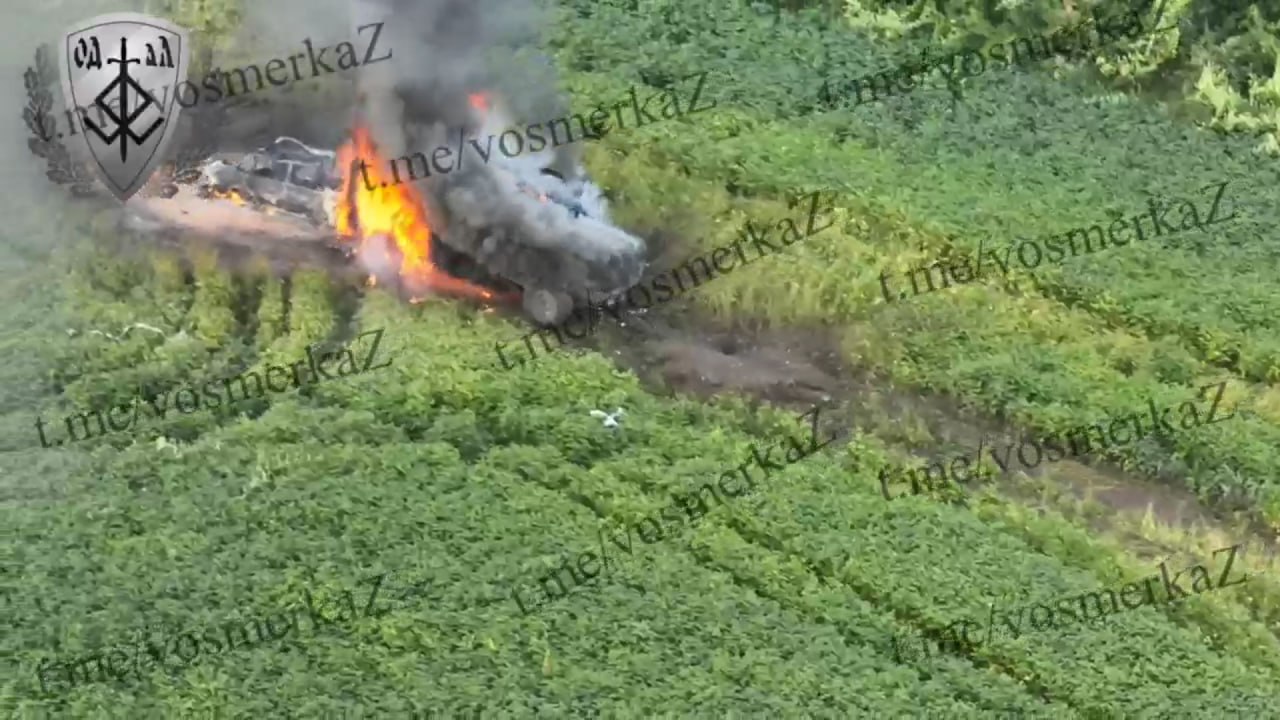 Изображение публикации 2b5703bf-737a-4b3f-9b46-53d369bdf072