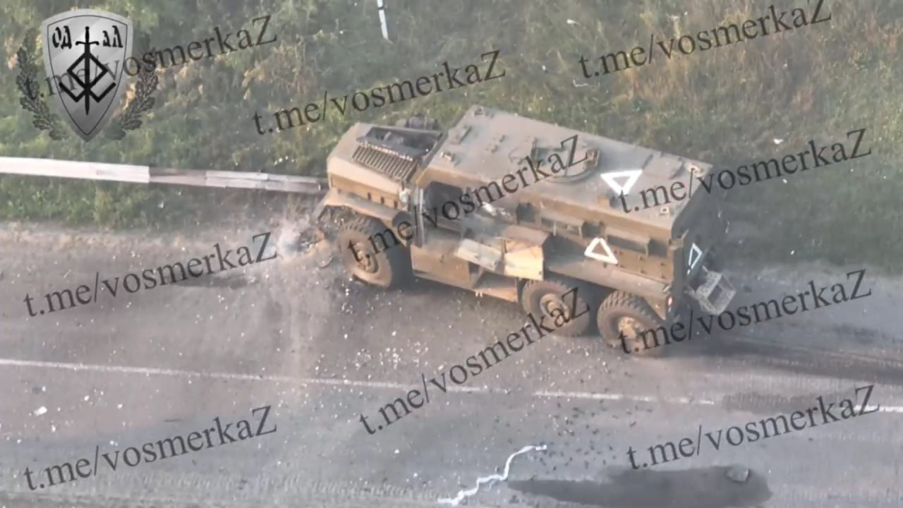 Изображение публикации 2b5703bf-737a-4b3f-9b46-53d369bdf072