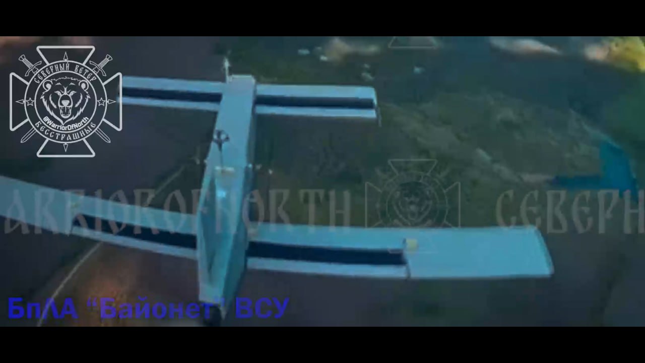 Изображение публикации 2b832e06-0b98-47ac-961a-4132de0b87cf
