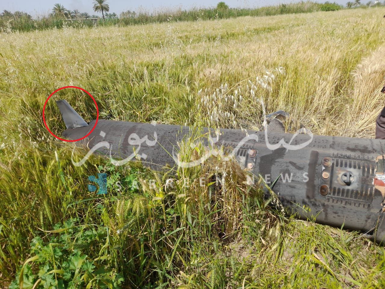 Изображение публикации 2b917779-9f9b-407e-bdc2-3ca9d7dd274f