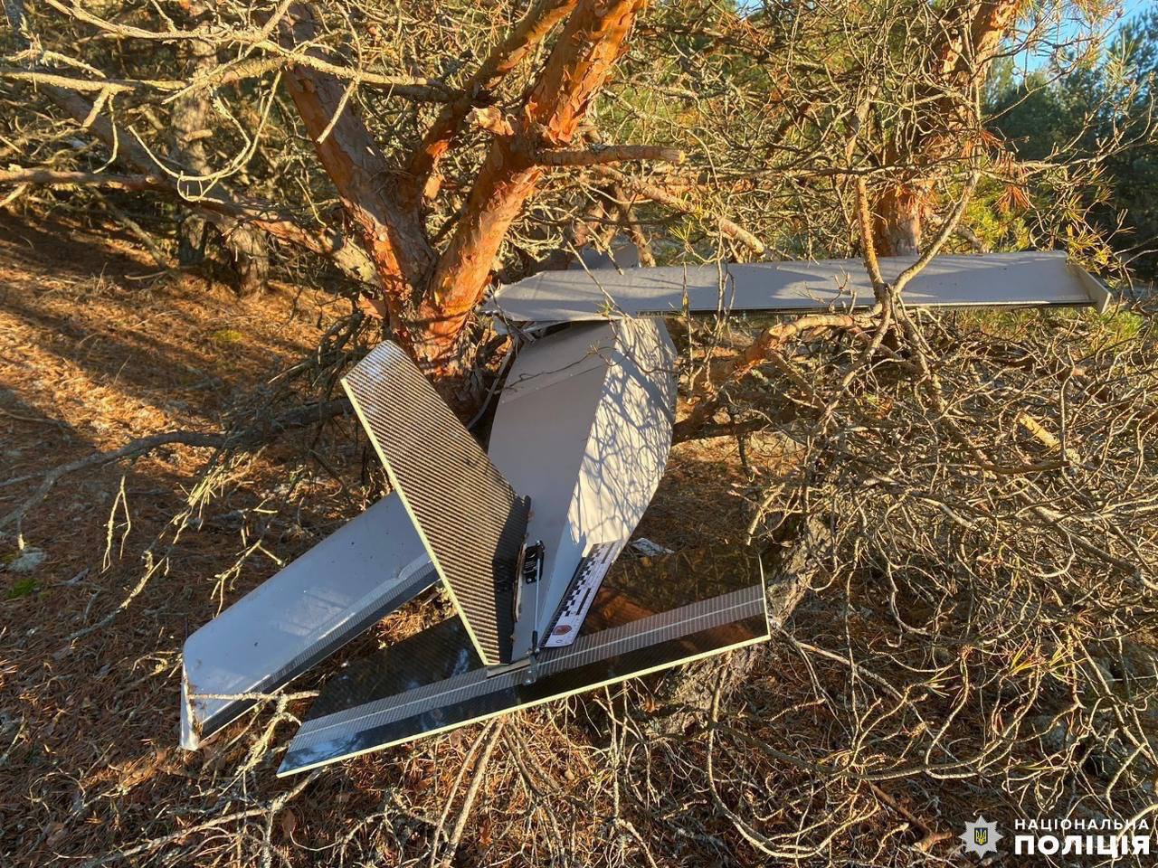 Изображение публикации 2bbd837c-58a2-461d-a1b5-393709d46804