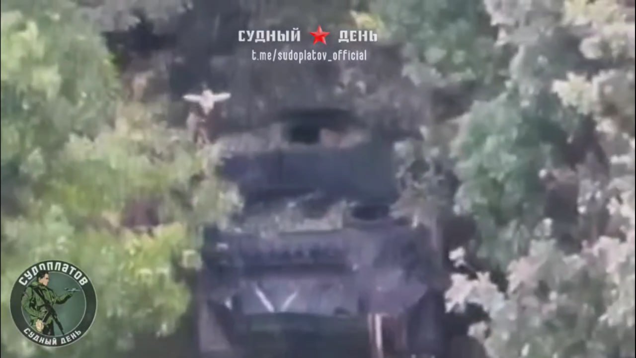 Изображение публикации 2c5a8cf0-0d96-42fc-a2dc-f2b1bdb57019