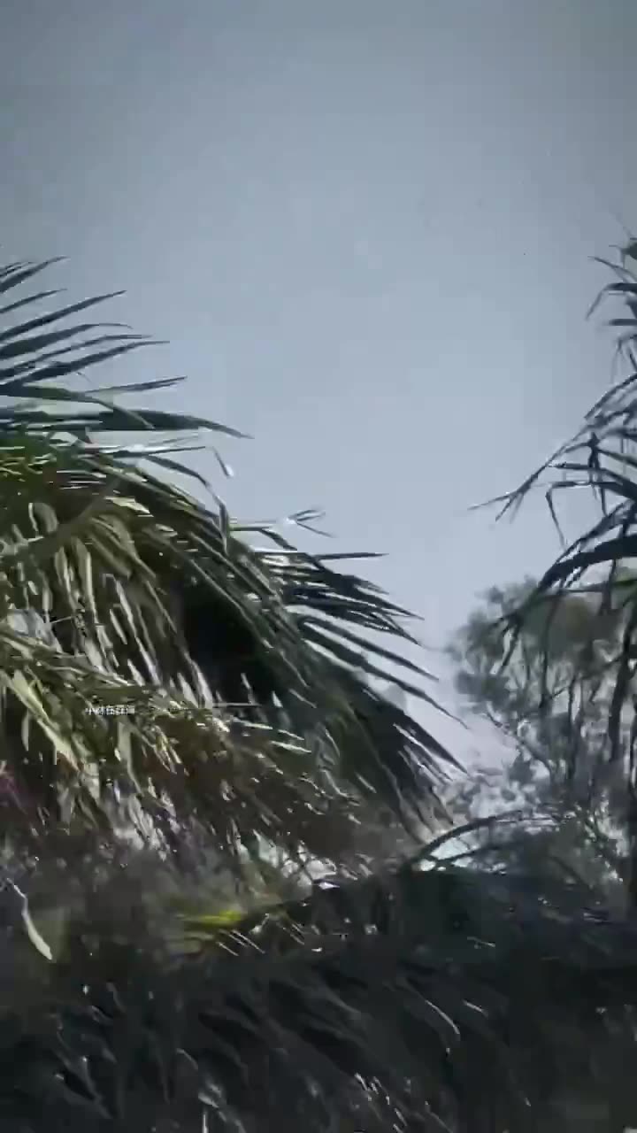 Превью видео