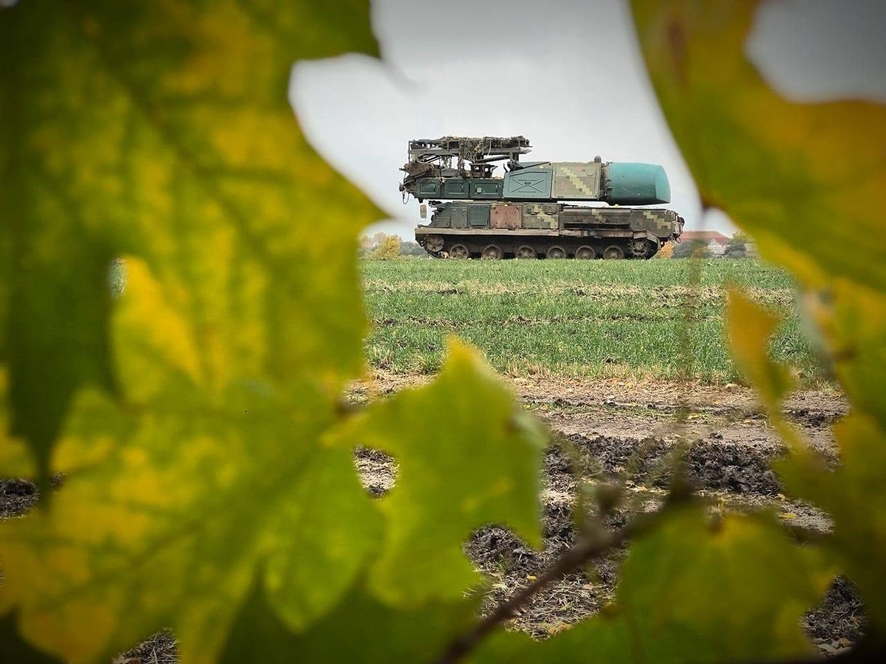 Изображение публикации 2dda7c26-3254-447a-a5ac-440f6d6d3142