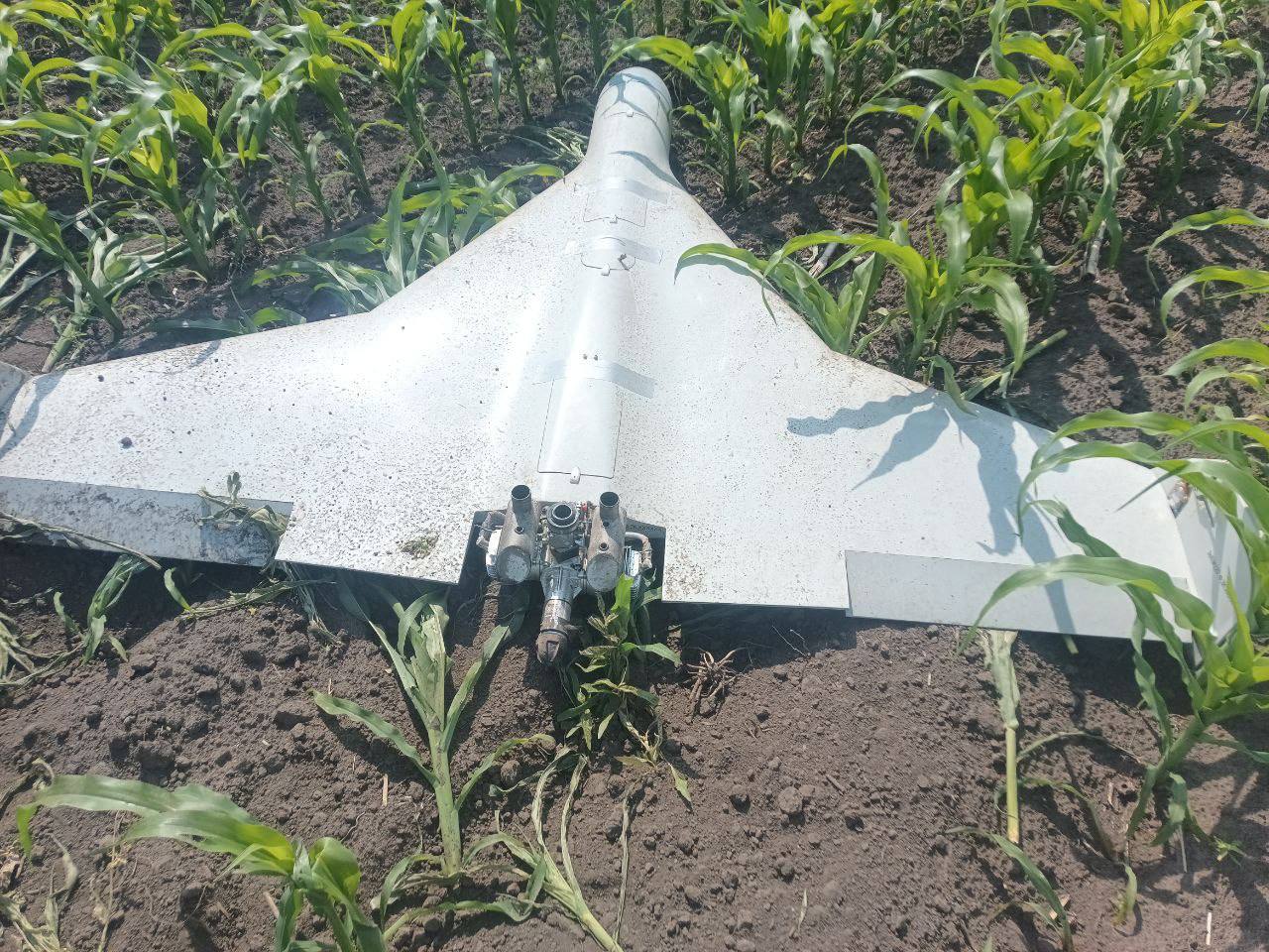 Изображение публикации 2f0d322a-a2b1-4585-a329-f7963855d780