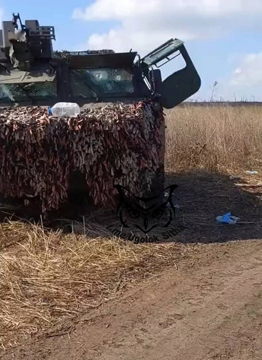 Изображение публикации 2fcd06e1-7b5d-4472-8f96-6ac9d50d70a5