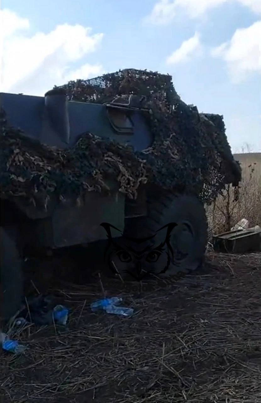 Изображение публикации 2fcd06e1-7b5d-4472-8f96-6ac9d50d70a5