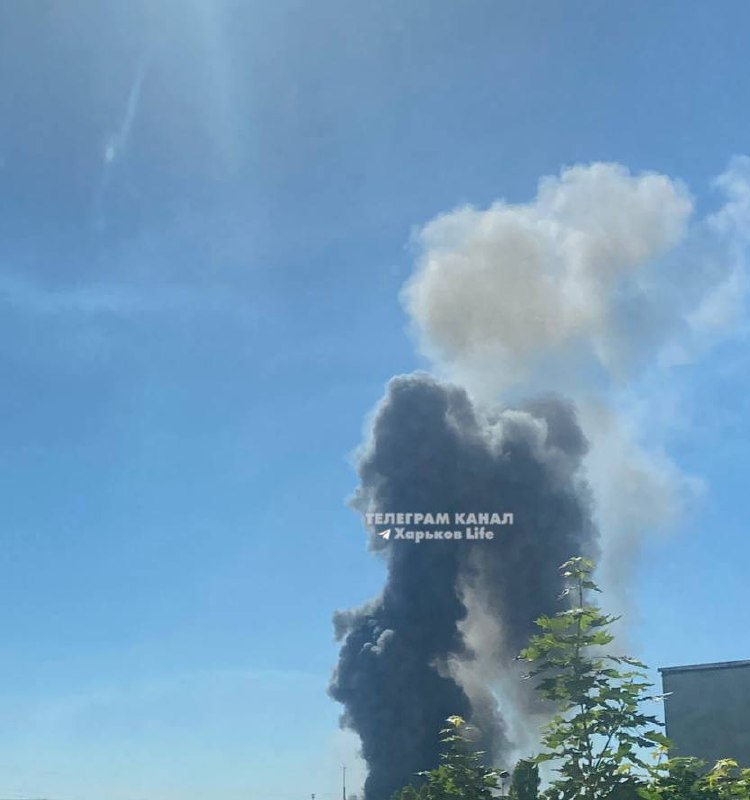 Изображение публикации 303a3f40-a1ee-435a-ae52-7b6700981d61