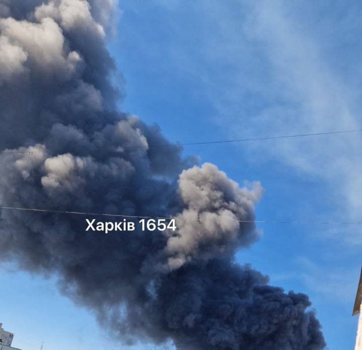 Изображение публикации 303a3f40-a1ee-435a-ae52-7b6700981d61