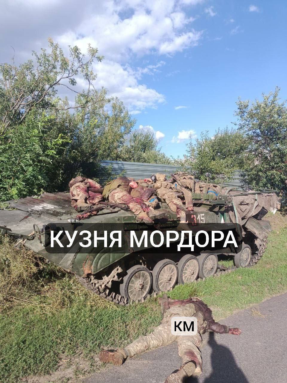 Изображение публикации 310a50e2-0906-4144-9ccf-99361332f3da