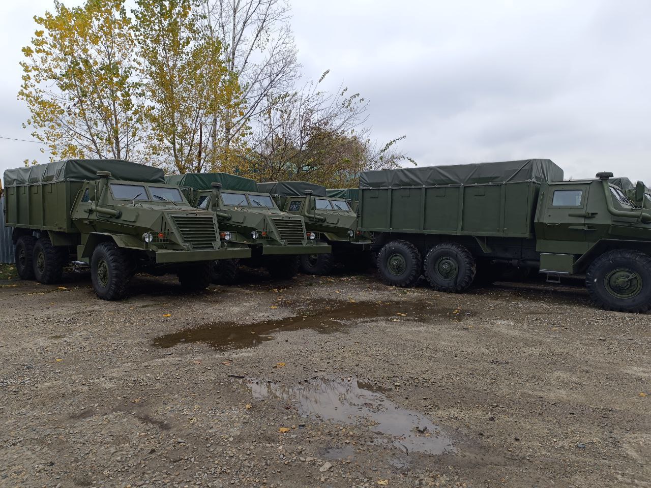 Изображение публикации 312c3521-3db3-4576-a7ce-7ed67cc1126e