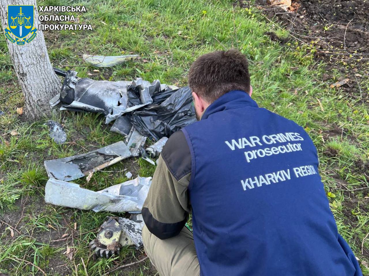 Изображение публикации 32075485-164c-4cc3-a444-847d935b8376