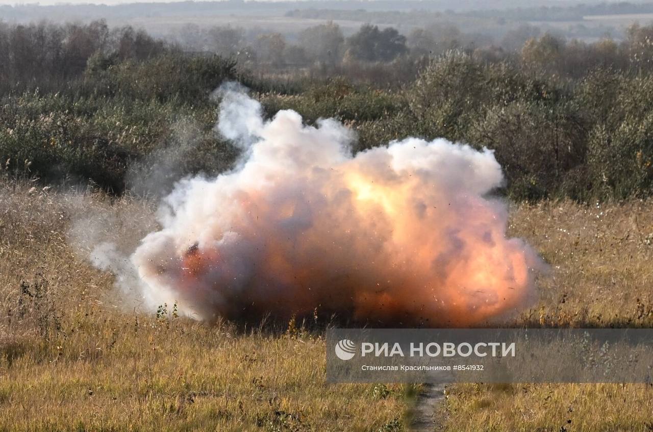Изображение публикации 323cb124-9a92-4f85-af83-db0d0f91fb7d