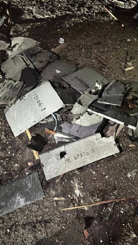 Изображение публикации 3659f090-3a6d-4d18-a37d-e7c43995771a