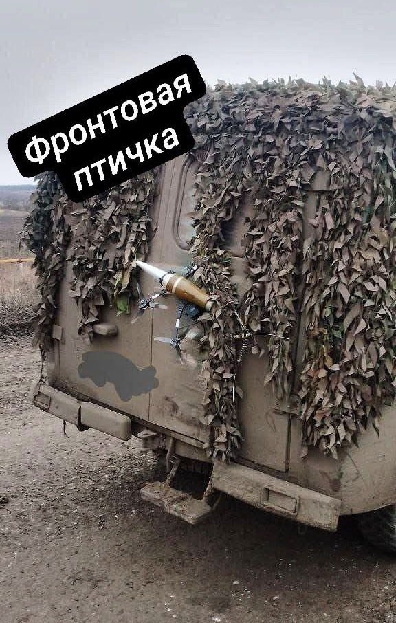 Изображение публикации 3696439b-5ae0-45c8-a58b-19a12f5590d5
