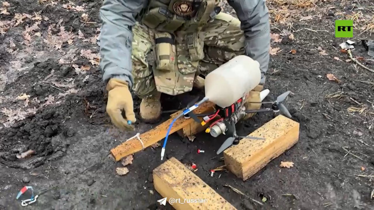 Изображение публикации 3696944e-2398-40e4-b73c-70a608fde8d3