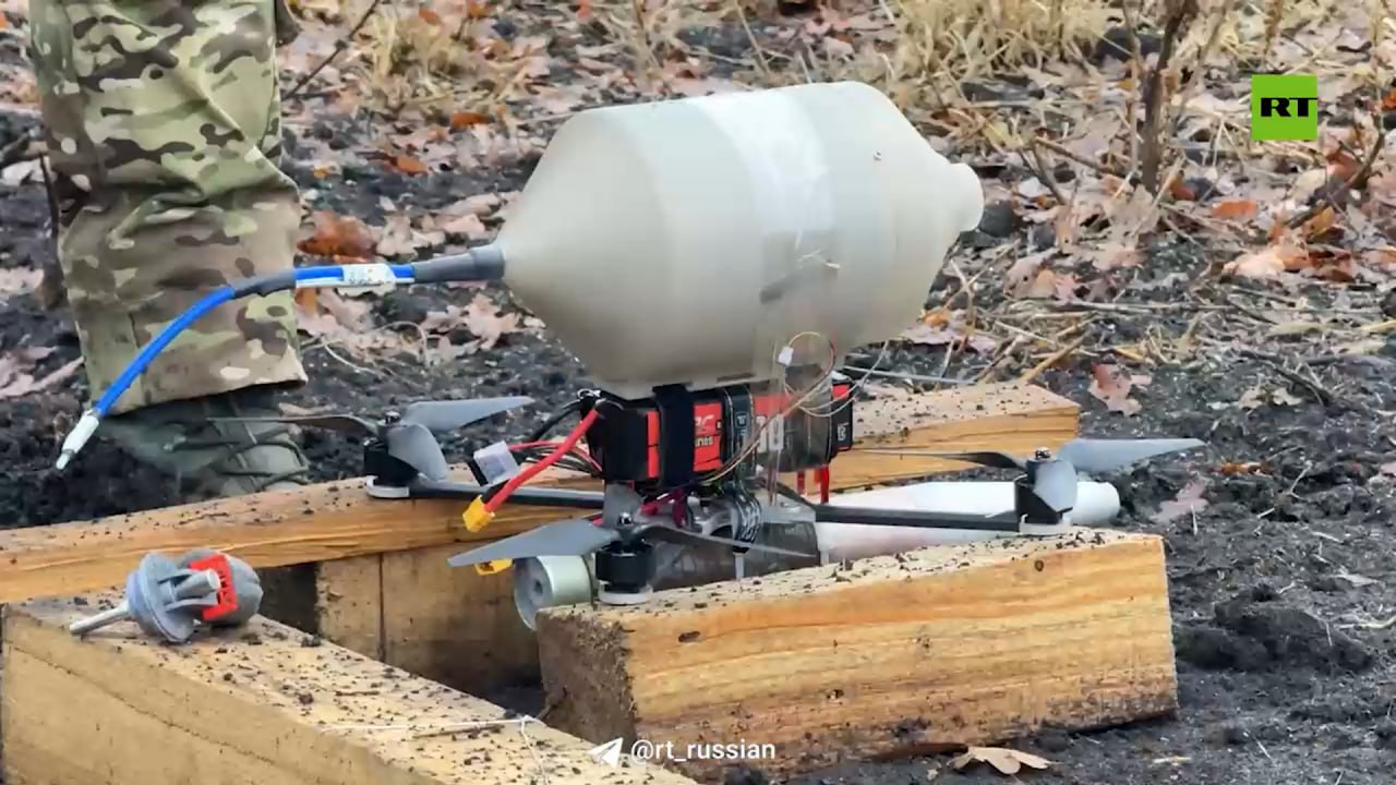 Изображение публикации 3696944e-2398-40e4-b73c-70a608fde8d3