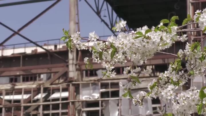 Превью видео