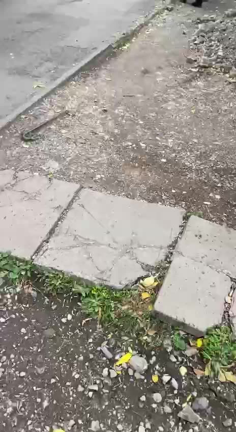 Превью видео