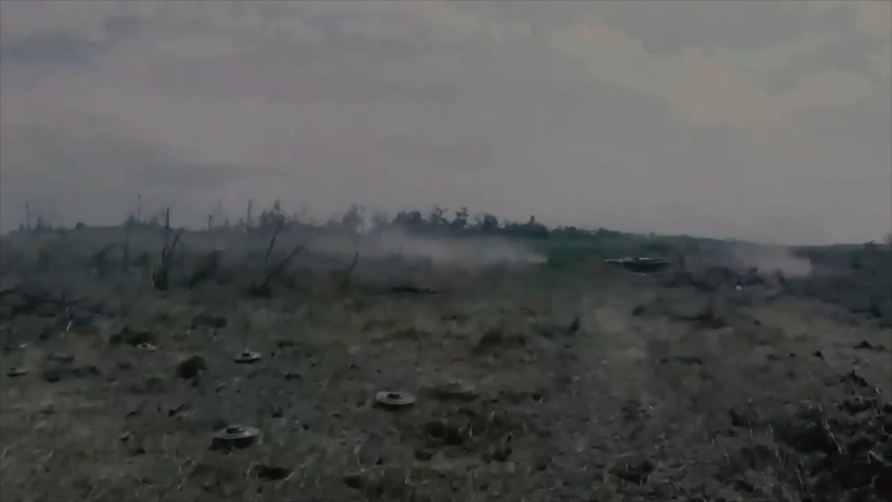 Изображение публикации 37a01a84-c2ae-4c3e-b9fa-ef9ab7366531