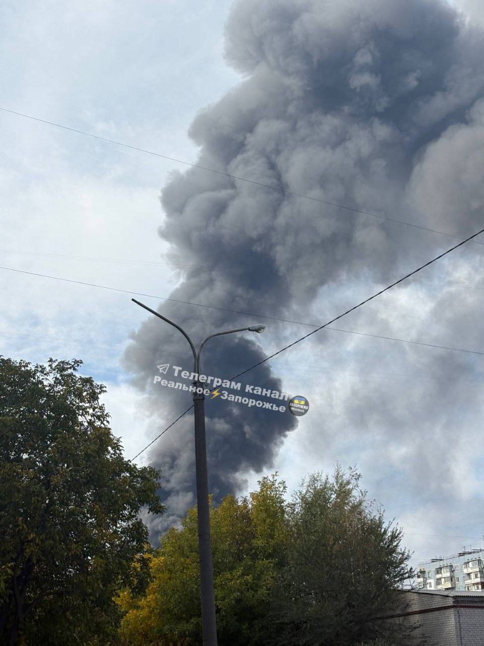 Изображение публикации 39721842-ef8e-4029-8d4a-633ebf36e4da